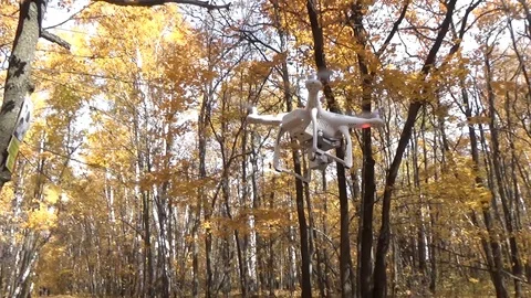 Impact quadrocopter screw on a tree Stock Footage 117279917