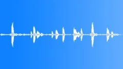 Impala alarm callsSound Effect