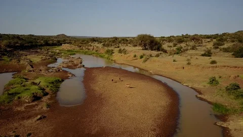 Impala antelope at river Stock Footage 77378348