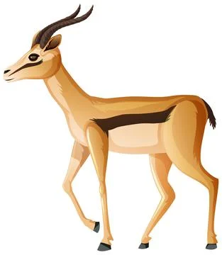 Impala in walking position on white background Ilustración de archivo