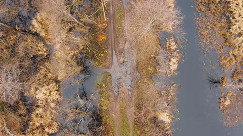 Impassable forest road in autumn forest, Belarus, Europe Stock Footage 230425787