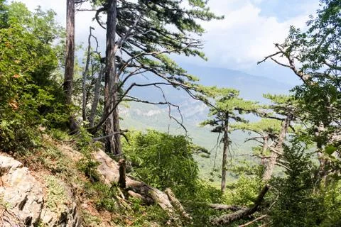 Impassable mountainous terrain. Фото