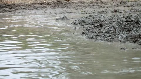 Impassable muddy road Stock Footage