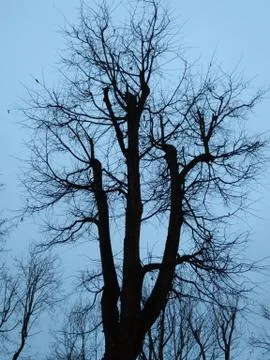 Impeccably Stock Photos