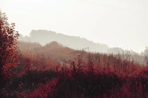 Impending fog Stock Photos