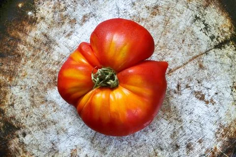 Imperfect tomato on rustic background Stock Photos