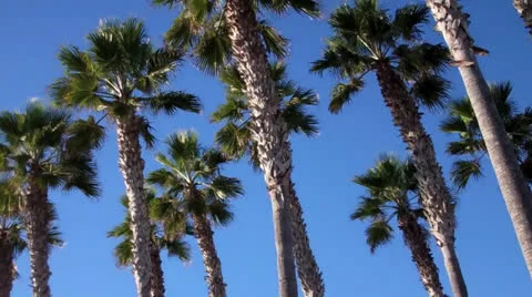 Imperial Beach, CA signage Stock Footage 25100096