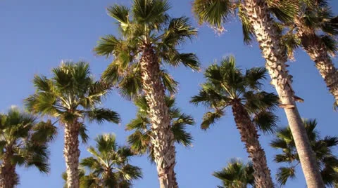 Imperial Beach, CA Signage Stock Footage 25100145