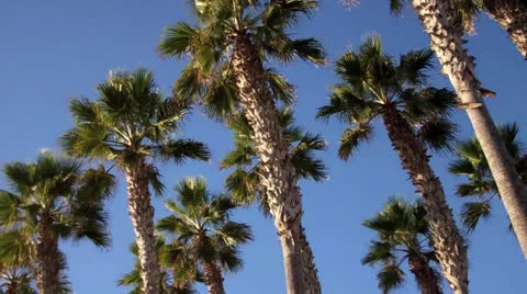 Imperial Beach, CA Signage Stock Footage 25100546