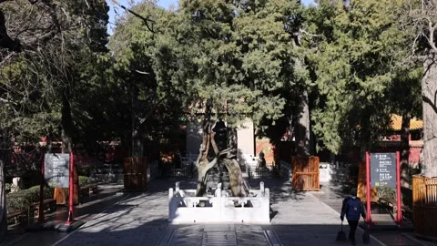 The imperial garden Stock Footage 223783271