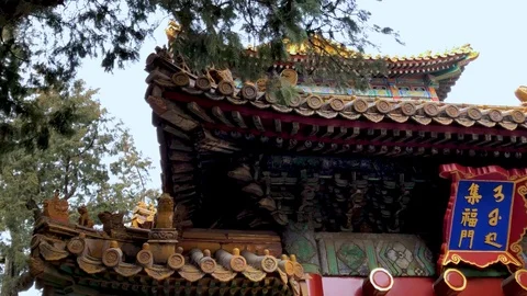 Imperial Garden Pull Back Stock Footage 86431854