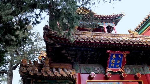 Imperial Garden Push In Stock Footage 86432096