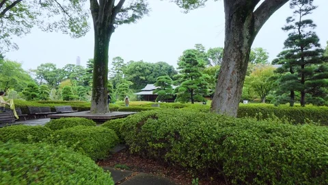 Imperial Palace Gardens in Tokyo Stock Footage 104407341