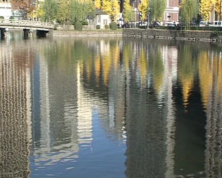 Imperial Palace Tokyo Stock Footage 30908202