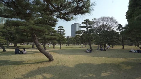 Imperial Palace in Tokyo Stock Footage 106956830