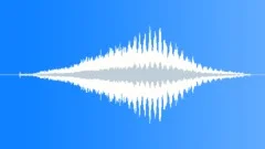Imperial Shag Wingbeats CU Sound Effect