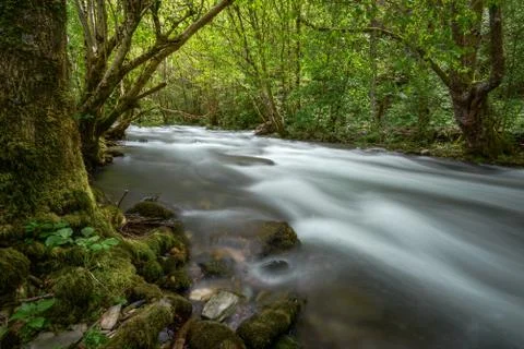 Impetuous current in a river among deciduous forests Stock Photos