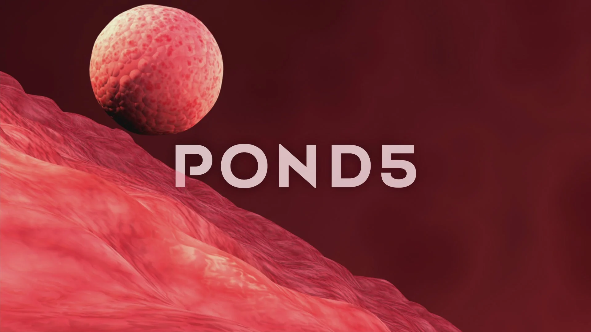 Implantation of embryo. | Stock Video | Pond5