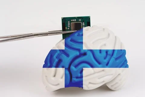 Implanting a microcircuit into a brain model with an image of the flag - Fi.. Foto stock