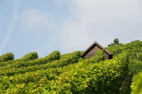 Implement shed Stock Photos