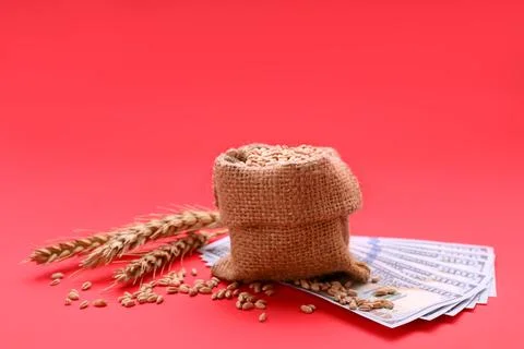 Import and export concept. Bag with grains, ears of wheat and money on red .. Stock Photos