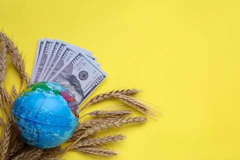 Import and export concept. Globe, ears of wheat and money on yellow backgro.. Stock Photos