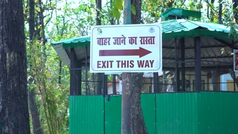 The Importance of Exit Boards in Forest Trails Stock Footage 313566659