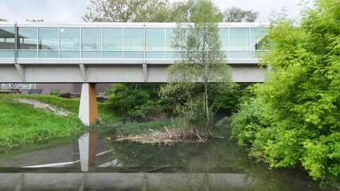 Importance of Nature - Syracuse, NY 库存影片 336481461