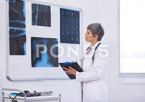 The Importance Of Radiology In Medicine. A Female Doctor Studying X ...