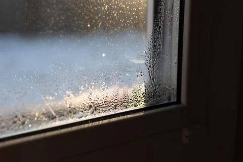 Importance of Ventilation and Humidity Control to Prevent Mold and Fungi Growth Stock Photos