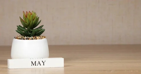 Important date or event on the calendar is May 18 Stock Footage 152910133