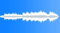 The Important Moments (light reverb) Stock Music