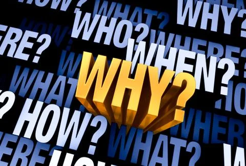 The Important Question Is 'Why?' Stock Illustration