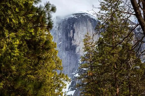 Imposing Half Dome through the Forest, Yosemite National Park, California Stock Photos