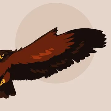 Imposing hawk bird flying Stock Illustration
