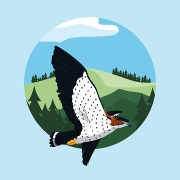 Imposing hawk bird flying in the landscape Stock Illustration