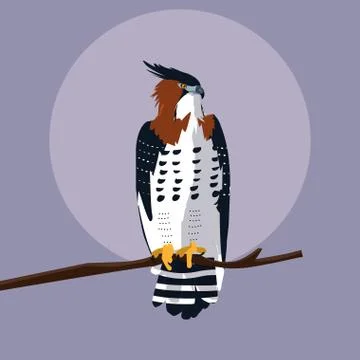 Imposing hawk in the branch Stock Illustration