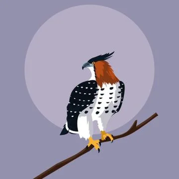 Imposing hawk in the branch Stock Illustration