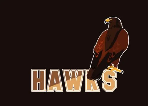 Imposing hawks bird with word Stock Illustration