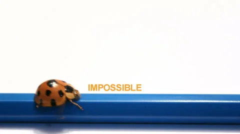Impossible change to Possible. Stock Footage 43208692