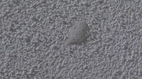 Impregnation and nanotechnology in practice//Extremely effective nano - coating Stock Footage 47984502