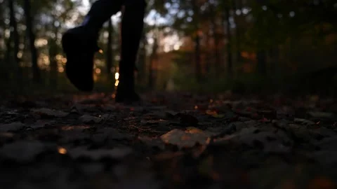 Impression of Autumn 4k Stock Footage 142309327