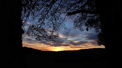 Impression of Autumn Sundown 4k Stock Footage 142312015