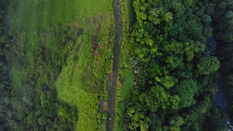 Impressive aerial shot of a path surrounded by green and forest Stock Footage 97441162