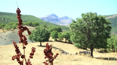 Impressive background Stock Footage 71035670