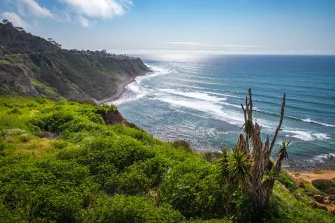 Impressive Bluff Cove Foto stock
