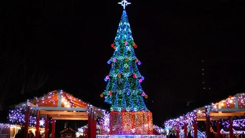 Impressive bright neon night lights sparkling on huge tall New Year tree at Stock Footage 100142359