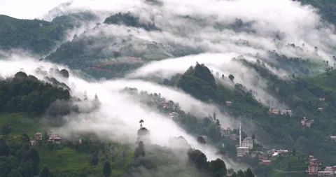 Impressive Footage of Mists Filtering Through the Trees Video stock 330345938