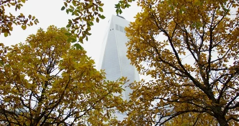 The Impressive Iconic World Trade Centre Surrounded By Beautiful Autumn Trees Stock Footage 112316433