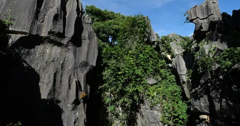 Impressive karst formations at the Shilin Stone Forest geopark Stock Footage 329463591
